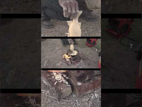 Catch & Cook Part 3 #explore #catchandcook #fishing #part3