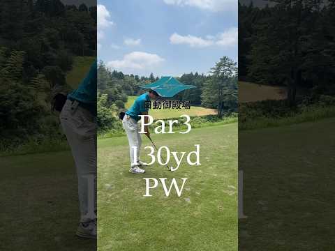 ベスト63のリアルラウンド#ゴルフ #ラウンド動画 #ゴルフスイング #golf #golfswing