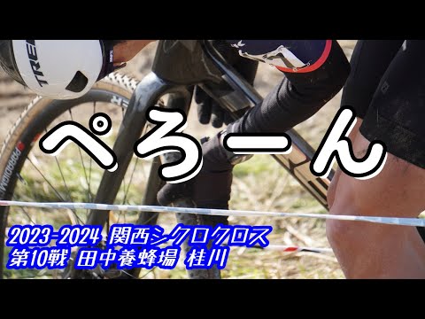 滑り倒した1日 関西シクロクロス 第10戦 桂川 E1(C1) 65位 2023-2024 【ゆっくり実況】