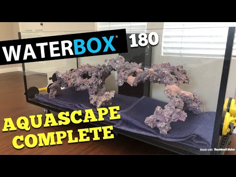 Aquascape is Complete (WaterBox 180.5)