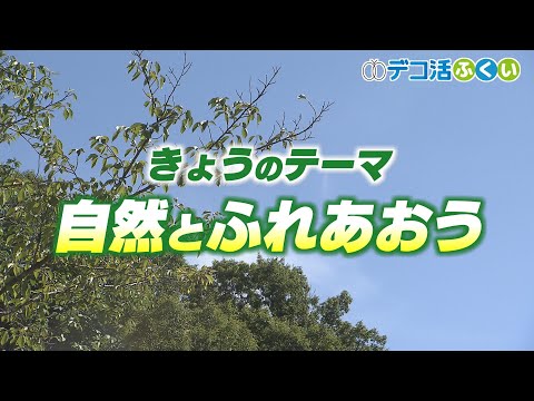 【デコ活ふくい2024】8月20日　自然と触れあう