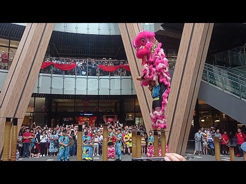 Acrobatic Lion Dance at LaLaport BBCC