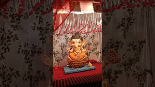 #raipurganeshmurti2024 #sindoorlaalchadhayo #jayganeshji #ytshorts #trendingshorts#raipur#shortsfeed