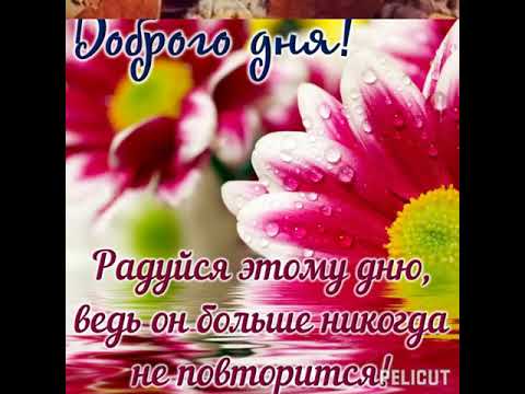 😊Доброго дня! #позитив #открытка #хорошеенастроение #добрыйдень #осень 💐🍂