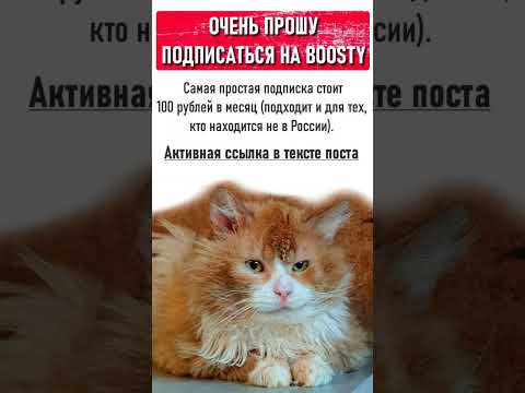 Друзья ОЧЕНЬ ПРОШУ ПОДПИСАТЬСЯ НА МЕНЯ НА БУСТИ #cat