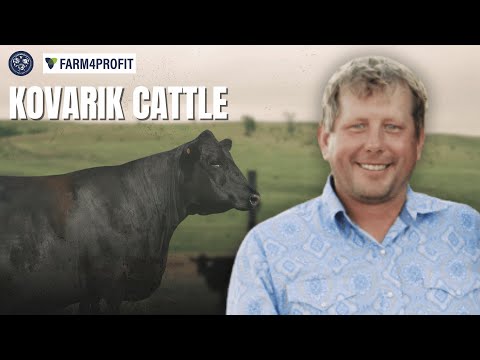 Luke Kovarik: The Heart of Nebraska Cattle Ranching