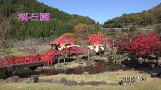 深耶馬渓 紅葉　渓石園