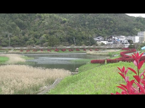 親水公園ひとまわり　玉野市