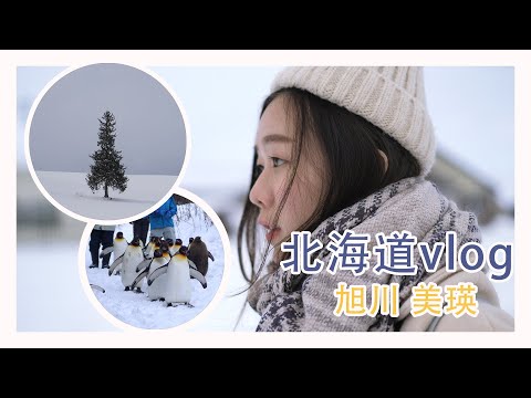 ❄️日本北海道旅行 10天  [2020] #1｜旭川美瑛自由行｜美瑛🌲拍照遊包車三小時｜旭川动物园｜JAPAN TRAVEL VLOG HOKKAIDO 4K