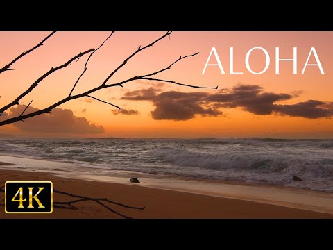 Dreamy Sunset Ambience with Relaxing Ocean Sounds (4K UHD)