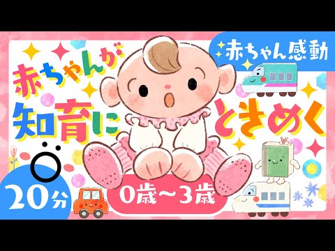 【赤ちゃんが喜ぶアニメ/歌】赤ちゃん感動✨知育にときめく❣️│ソポアートパーク公式🌲ö│赤ちゃんが笑う 泣き止む 喜ぶうた&いろもりだくさん│0歳から3歳│泣き止む・知育動画【Baby amime】