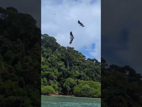 Langkawi highlights