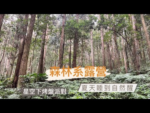 哲遊記Camping ❤︎ 第2露｜起初露營區｜森林露營｜新手露營裝備｜Petromax鑄鐵烤盤｜夏天露營｜露營基本裝備｜露營食材｜烤盤料理｜路況分享｜森林  #迪卡儂帳篷 #camping