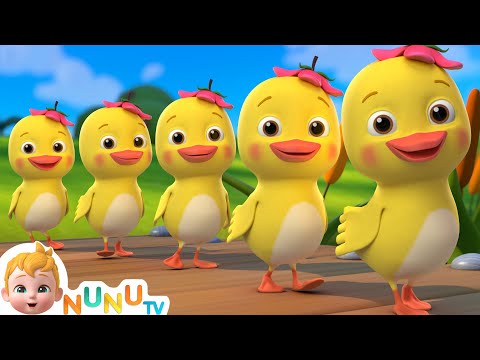 5 Little Ducks (Learn Counting Song) + More  Nursery Rhymes & Kids Songs | NuNu Tv