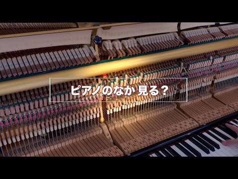 【音楽家たくおん】ピアノを脱がせて、トルコ行進曲弾いてみた！！