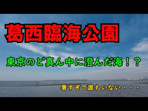 【葛西臨海公園】東京のど真ん中に澄んだ海！？｜きれいすぎ～