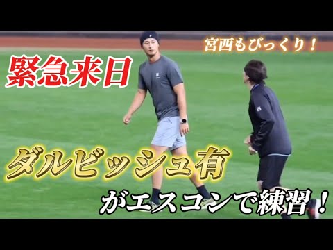 【速報】ダルビッシュ有がエスコンに！！日本に来日後すぐ練習参加！！