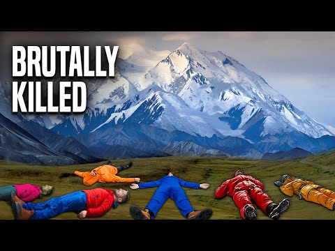 They Tried Hiking Denali. It Ended Badly.