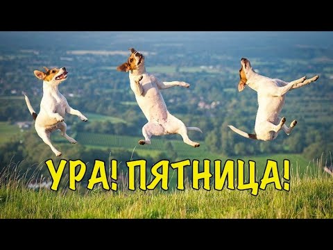 УРА!!! ПЯТНИЦА!! Весёлой ПЯТНИЦЫ!!! Весёлое пожелание!