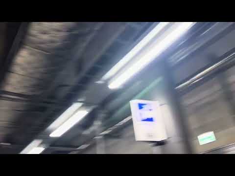 SO羽沢横浜国大駅1番線 ドア開閉