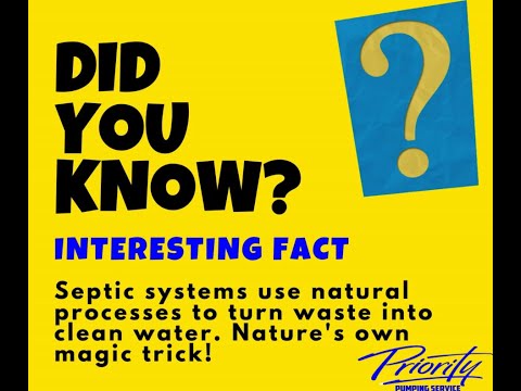 (Bulk 8) Yellow Did You Know Interesting Fact Facebook Post mp4