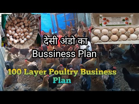 100 Layer Chicken Farming Plan And Starting A Bussiness At  Poultry Farming #layerfarming