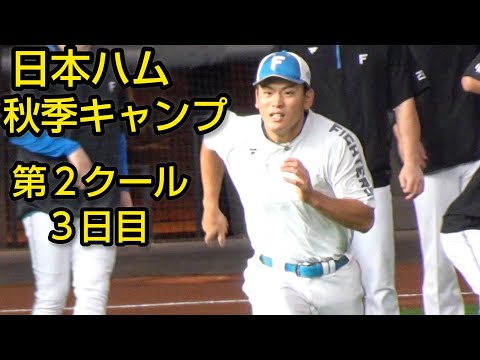 日本ハム秋季キャンプ第２クール３日目2024.11.8