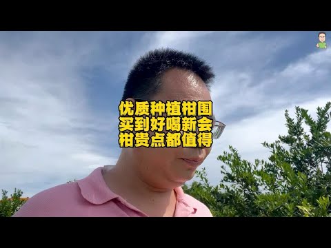 优质种植柑围，买到好喝新会柑贵点都值得，现场教大家怎么看