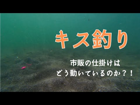 水中で見たキス釣り 市販の仕掛け  - アピール力は！？課題は！？