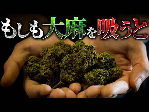 【闇】大麻を吸うと人体には何が起こるのか？