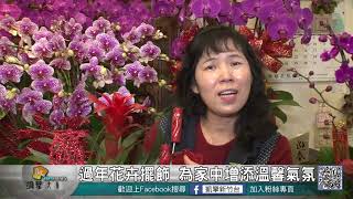 20190201N 過年花卉擺飾 為家中增添溫馨氣氛