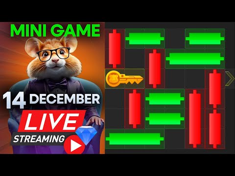 14 December Hamster Kombat Mini game Puzzle Solved 🔴Live | #livestream #hamstercombat #minigames