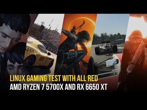 AMD Radeon RX 6650 XT Linux Gaming Performance | Benchmarking Native Games on My Library