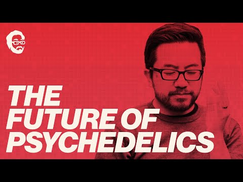 How Psychedelics will Change Society for the Better | with Dillan DiNardo of Mindstate Design Labs