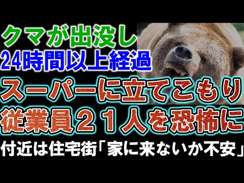 猟友会がクマと対峙。クマがスーパーに立てこもり24時間以上。血を流し「痛い」と叫ぶ従業員の前にクマが立つ恐怖。