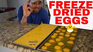 HARVESTRIGHT-- Freeze Dried RAW 🍳Eggs🍳 Cost and Rehydrating #freezedriedeggs