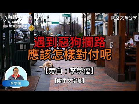 遇到惡狗攔路，應該怎樣對付呢？ -【李學儒 旁白】 | 網絡文章 | A Loving World | 有緣相聚 | 有情天地 | 電台節目重溫【廣東話】