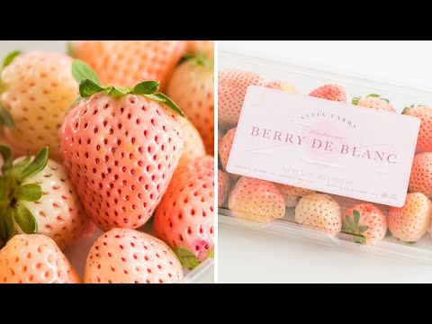 Pineberries, A pink strawberry, pineberry taste test and review.