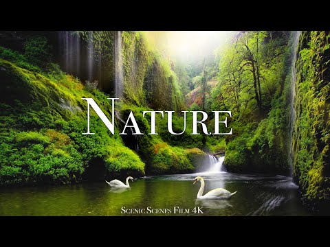 Nature In 4K - Breathtaking Scenes Around The World | Nature Sounds | Scenic Relaxation Film