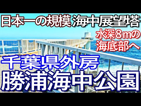 千葉ゆる旅　勝浦海中公園へ