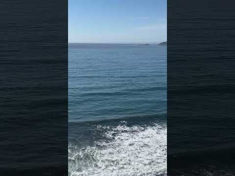 #saltwater #oregoncoast #pacificocean #pacificcoast #waves #sea #viralvideo