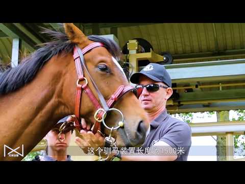 用“机械”来训练马跑，人只需一旁操控，马儿：心好累