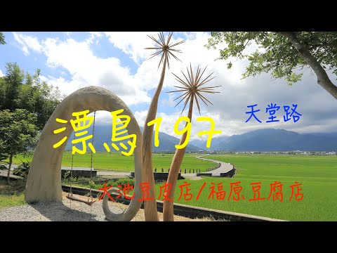 萬ㄟeye台灣201908漂鳥197   4K