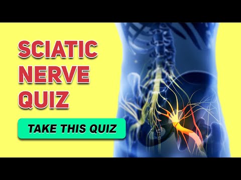 Sciatic Nerve Quiz | Human Anatomy and Physiology