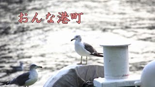 おんな港町　八代亜紀