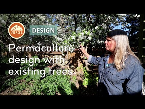 Permaculture Garden Design Around Existing Mature Trees