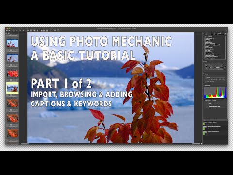 Photo Mechanic Basic Tutorial Part 1 - Importing, Browsing, Sorting, Adding Captions & Keywords,