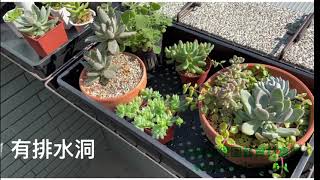 台灣製造『加高型』育苗盤＋專用陽台花架 育苗盤專用陽台架 花盆架 整理盤 端盤 磚牆花架 端盤架 圍牆花架 調整型 多肉盆栽置放架 #花園城堡園藝資材倉庫