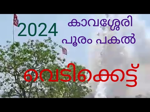 കാവശ്ശേരി പകൽ വെടിക്കെട്ട്  2024 /kavassery pooram vedikket 2024 / kavasery pooram 2024 /