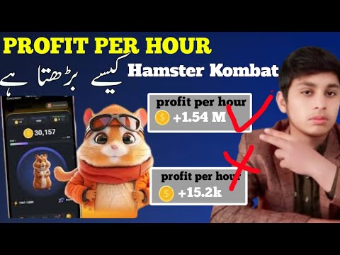 .HOW TO INCREASE PROFIT PR HOUR IN A HAMSTER KOMBAT❗HAMSTER KOMBAT MA PROFIT PR HOUR KISA BAEYA.